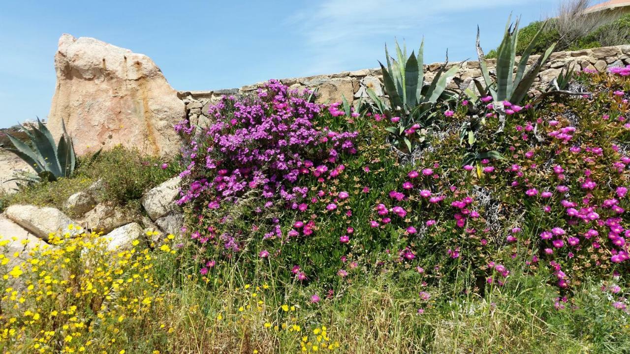 Casa Vacanze Della Maddalena Zewnętrze zdjęcie